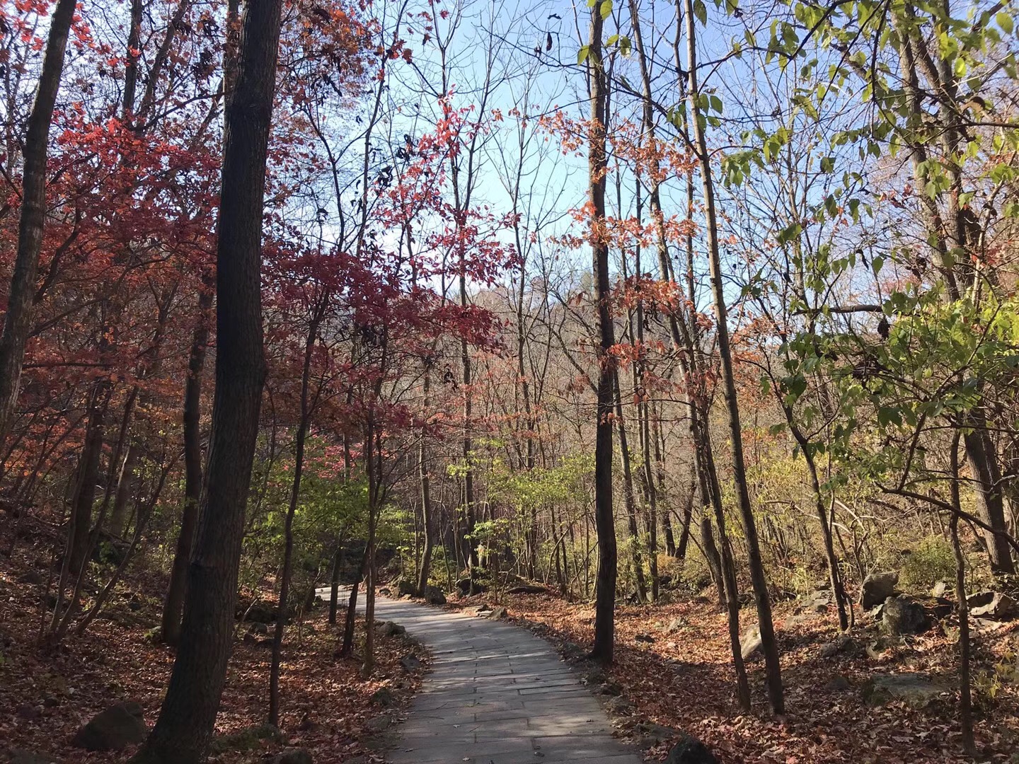 丹东青山沟/青山湖游船/虎塘沟/飞瀑涧2日游